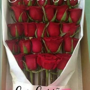 Meet your Posher, Luz